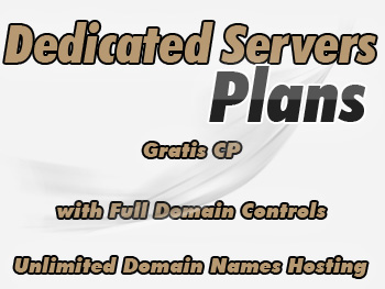 Affordable dedicated server services